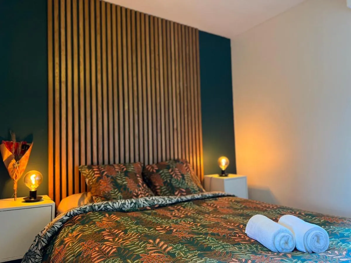Le Zenith - T2 Chaleureux Et Lumineux Apartment Toulouse 0*,