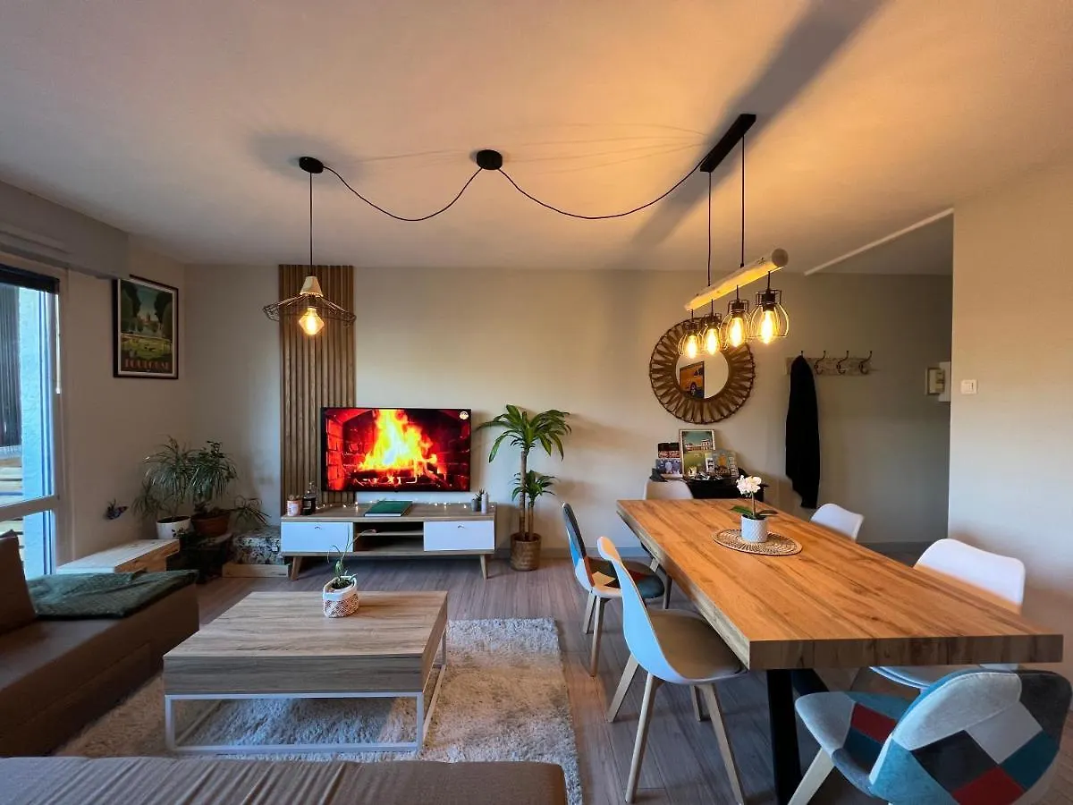 Le Zenith - T2 Chaleureux Et Lumineux Apartment Toulouse