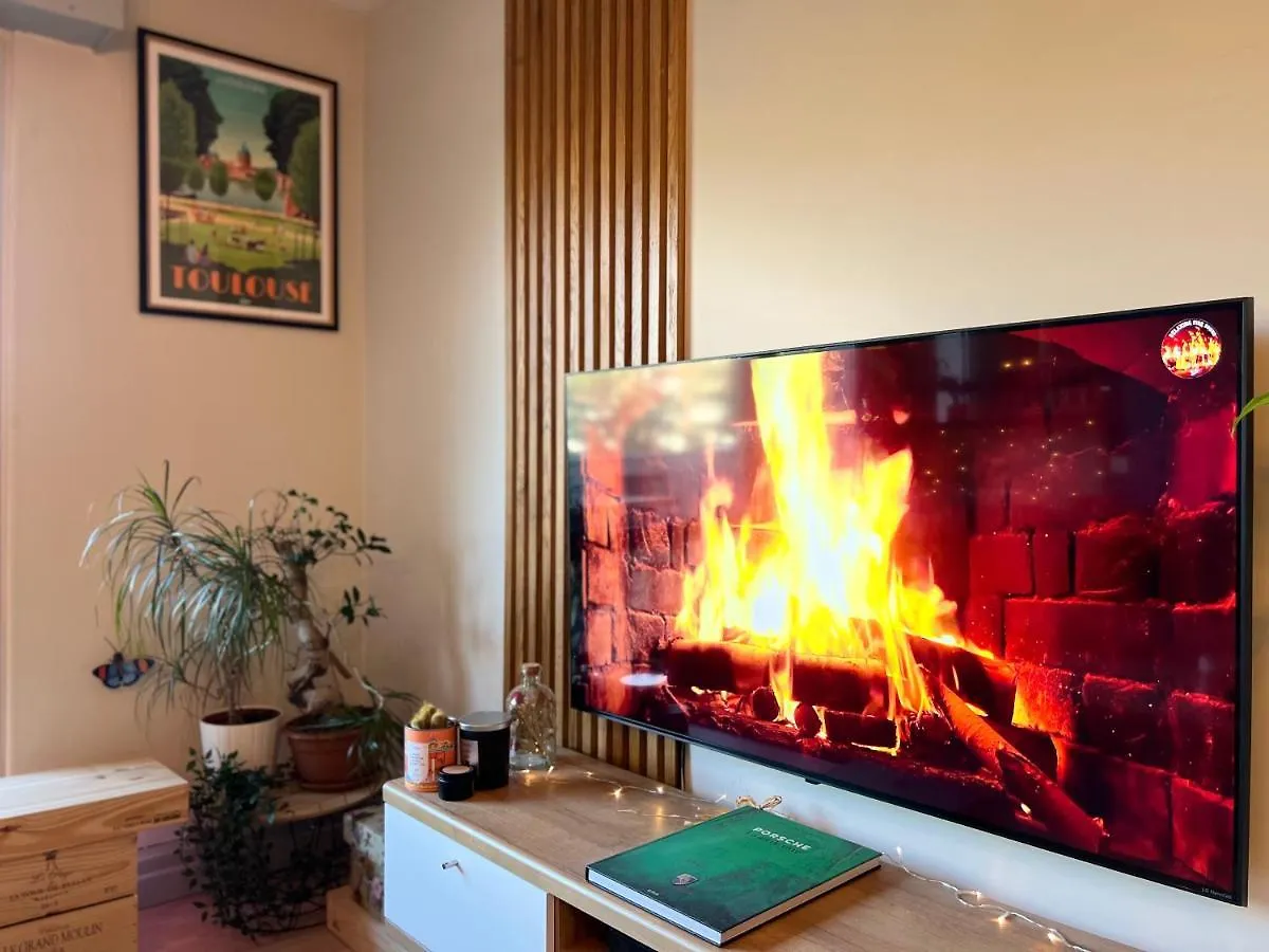 Apartmán Le Zenith - T2 Chaleureux Et Lumineux Toulouse