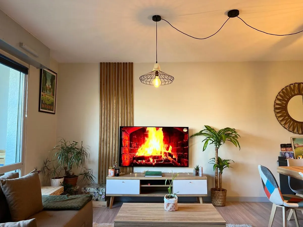 Apartmán Le Zenith - T2 Chaleureux Et Lumineux Toulouse